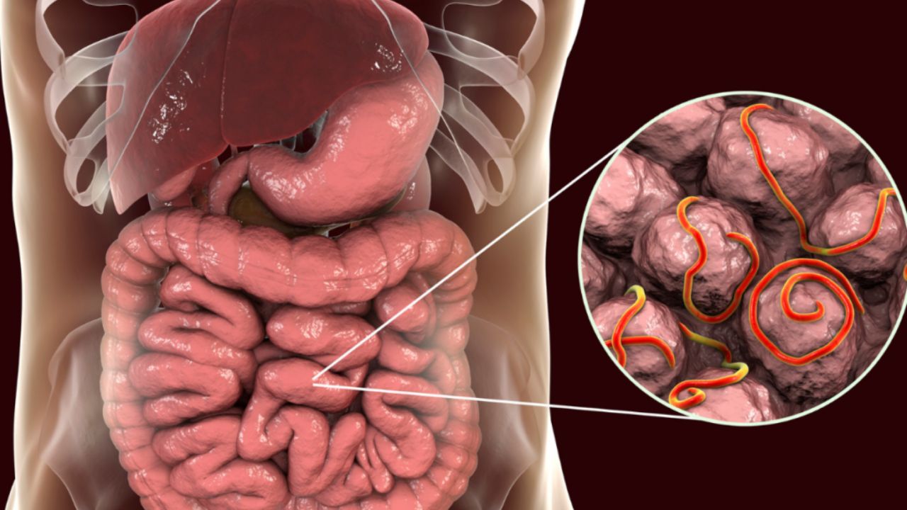 Colonoscopy Benefits Supporting Accurate Detection Of Hidden Digestive Health Concerns